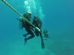 Hawaii Scuba divng 60