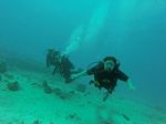 Hawaii Scuba divng 61
