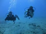 Hawaii Scuba divng 11