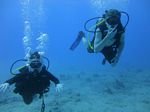 Hawaii Scuba divng 12