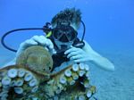 Hawaii Scuba divng 14