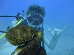 Hawaii Scuba divng 19