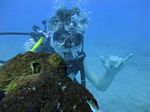 Hawaii Scuba divng 20