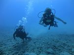 Hawaii Scuba divng 28