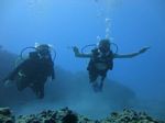 Hawaii Scuba divng 35