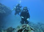 Hawaii Scuba divng 39