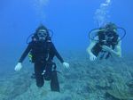 Hawaii Scuba divng 42