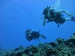 Hawaii Scuba divng 43