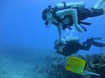 Hawaii Scuba divng 44