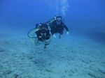 Hawaii Scuba divng 45