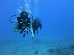 Hawaii Scuba divng 46