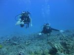 Hawaii Scuba divng 47