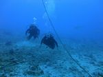 Hawaii Scuba divng 15