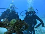 Hawaii Scuba divng 17