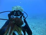 Hawaii Scuba divng 21