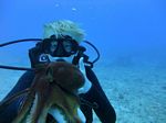 Hawaii Scuba divng 21