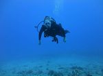 Hawaii Scuba divng 26