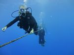 Hawaii Scuba divng 05