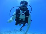 Waikiki Scuba 23