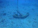 Waikiki Scuba 05