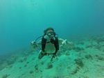 Hawaii Scuba divng 10