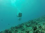 Hawaii Scuba divng 11