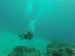 Hawaii Scuba divng 12