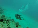 Hawaii Scuba divng 13