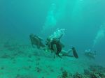 Hawaii Scuba divng 15