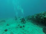 Hawaii Scuba divng 19