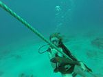 Hawaii Scuba divng 01