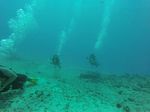 Hawaii Scuba divng 20