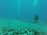 Hawaii Scuba divng 22