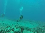 Hawaii Scuba divng 23