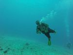 Hawaii Scuba divng 24