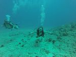 Hawaii Scuba divng 26