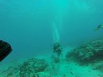 Hawaii Scuba divng 27