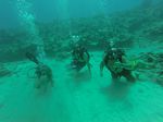 Hawaii Scuba divng 29