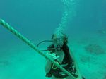 Hawaii Scuba divng 02