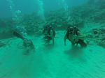 Hawaii Scuba divng 30