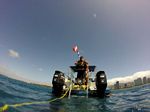 Hawaii Scuba divng 31