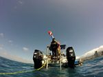 Hawaii Scuba divng 32