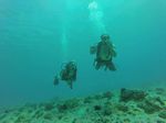 Hawaii Scuba divng 03