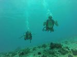 Hawaii Scuba divng 04