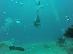 Hawaii Scuba divng 53