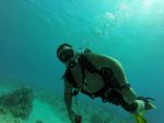 Hawaii Scuba divng 05