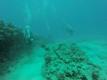 Hawaii Scuba divng 64