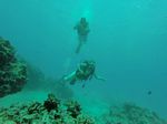 Hawaii Scuba divng 65