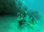 Hawaii Scuba divng 67