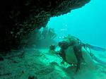 Hawaii Scuba divng 73